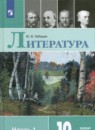 Литература 10 класс Лебедев
